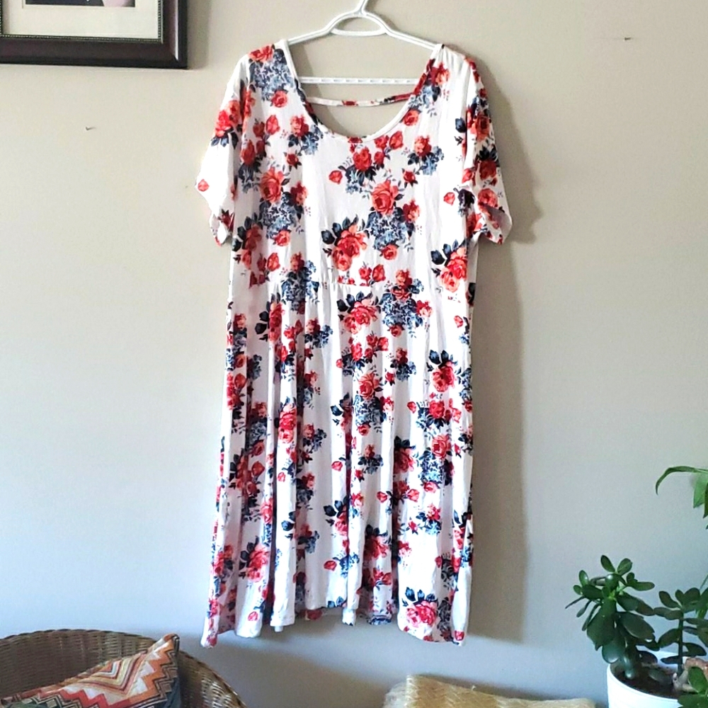 Women's plus size dress